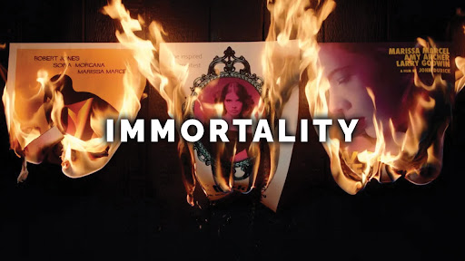 Kaufe Immortality PC