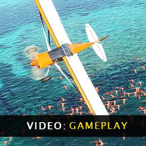 Microsoft Flight Simulator - Video zum Spiel