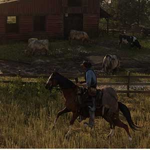 Red Dead Redemption 2 Pferde reiten
